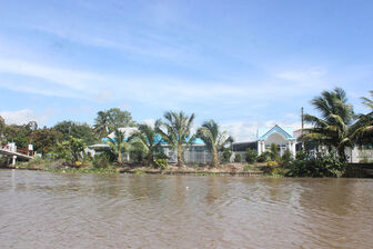 Giữ đất, tạo cảnh quan