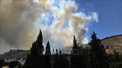 Cháy rừng hoành hành tại Thổ Nhĩ Kỳ và Syria
