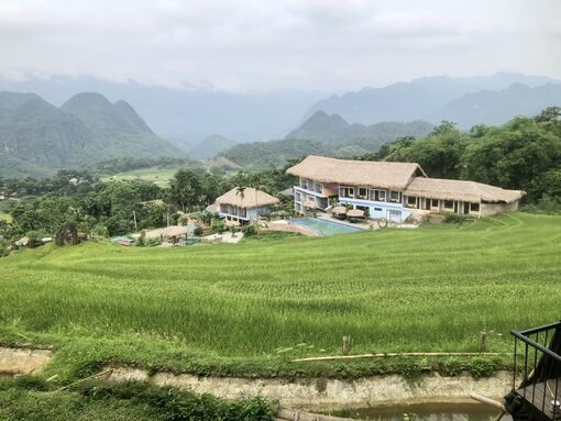 Khám phá mùa vàng trên đỉnh Pù Luông