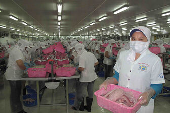 Nâng cao năng lực cạnh tranh của ngành hàng cá tra