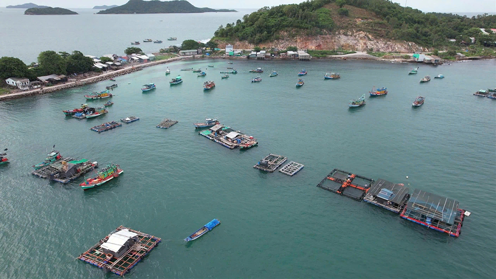 An Giang phát triển nuôi biển bền vững