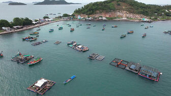 Phát triển nuôi biển bền vững
