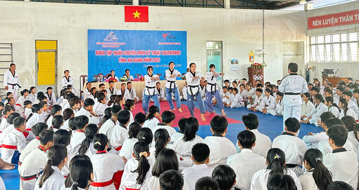 Tập huấn chuyên môn kỹ thuật Taekwondo tỉnh An Giang năm 2025