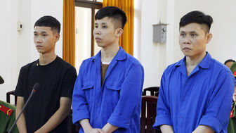 Thuê xe cuốc rồi đốt, 3 bị cáo lãnh án tù