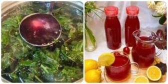 Uống nước lá tía tô với chanh có tác dụng gì?