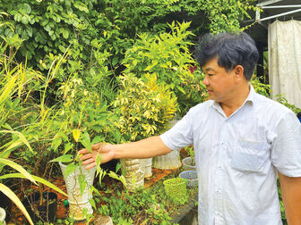 Bảo tồn sơn dược