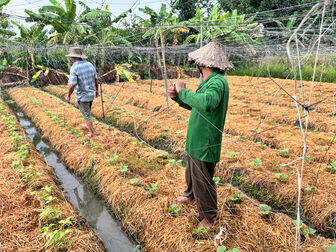 Làm nông thuận tự nhiên