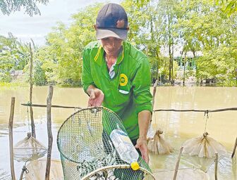 Ven biên rục rịch đón lũ