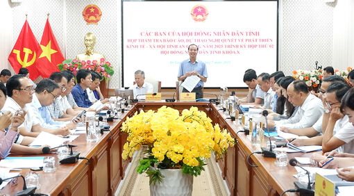 Tăng trưởng kinh tế tỉnh An Giang ước đạt 8,12%