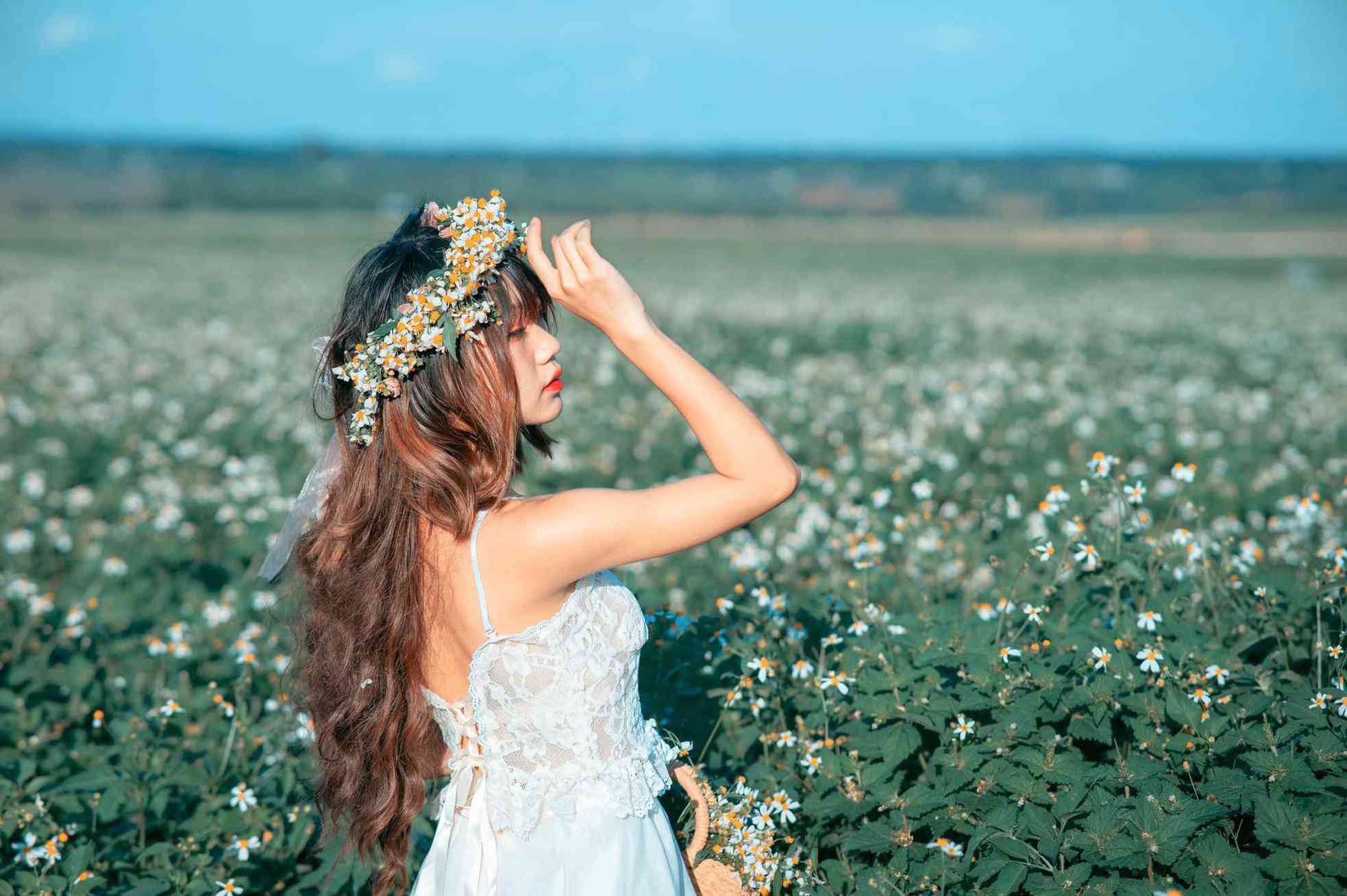 Xuyến chi ngày cũ