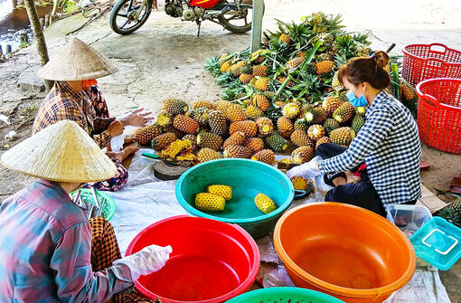 Khởi nghiệp từ nguyên liệu bản địa