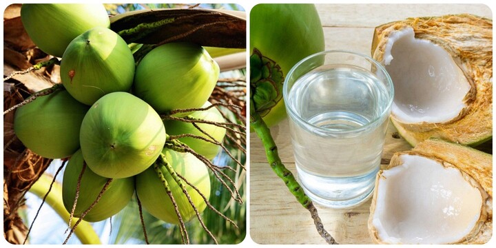 Uống nước dừa tươi vào buổi sáng có tác dụng gì? - Báo An Giang Online