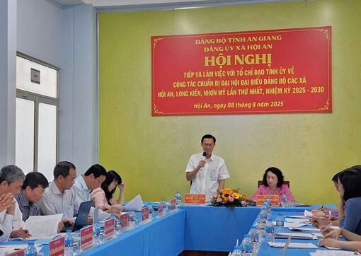 Trưởng ban Nội Tỉnh ủy An Giang làm việc với các xã: Hội An, Long Kiến và Nhơn Mỹ về công tác chuẩn bị đại hội