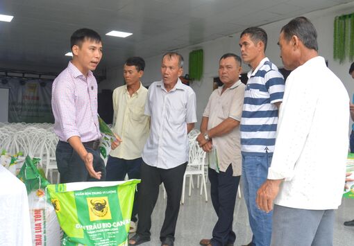Giải pháp quản lý đất mặn, phèn tại vùng canh tác lúa - tôm tỉnh An Giang