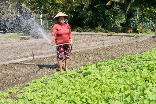 Nông nghiệp sạch ở Đông Hòa