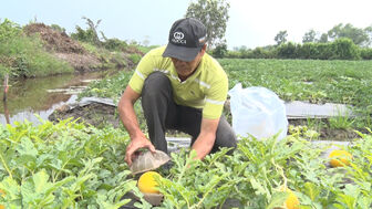 Chuyển mình trên đồng đất Vĩnh Tuy