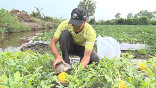 Chuyển mình trên đồng đất Vĩnh Tuy