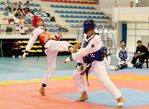 Taekwondo giữ vững phong độ