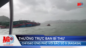 Thường trực Ban Bí thư chỉ đạo ứng phó với Bão số 9 (Ragasa)