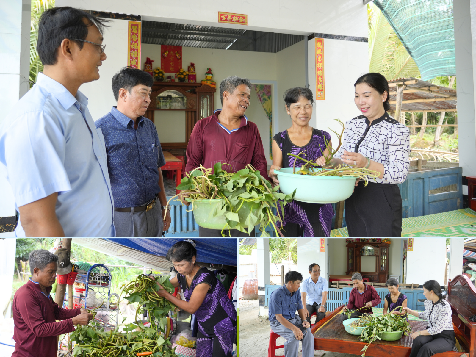 Chính quyền địa phương thăm hỏi, động viên đời sống gia đình ông Danh Sượng và bà Danh Thị Hiệp; Gia đình ông bà thu hoạch rau màu tại vườn; Cán bộ và gia đình cùng trò chuyện, chia sẻ kinh nghiệm sản xuất, phát triển kinh tế hộ.