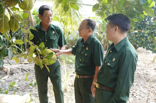 Cựu chiến binh An Giang - điểm tựa niềm tin của Nhân dân