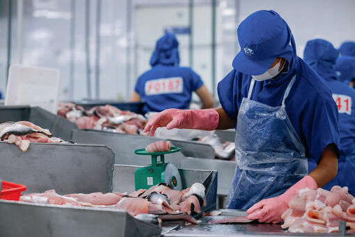 Nông nghiệp An Giang chuyển mình - Bài 2: Tôm, cá xuất ngoại