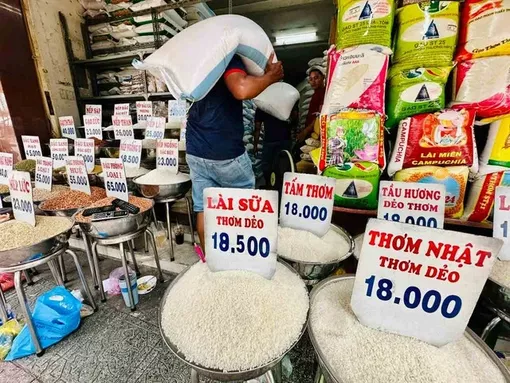 Việt Nam chi 1,5 tỉ USD nhập gạo, có đáng lo?