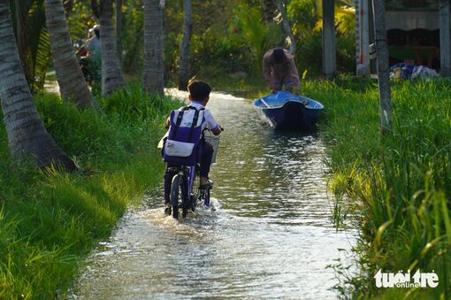 ĐBSCL đối diện với nguy cơ ngập diện rộng do triều cường, lũ thượng nguồn và mưa lớn kéo dài