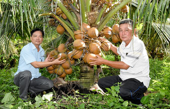 Biến vườn tạp thành “vườn triệu phú”