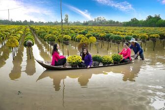 Nông nghiệp sinh thái là con đường tất yếu tại ĐBSCL