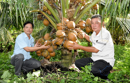 Biến vườn tạp thành “vườn triệu phú”