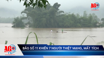 Bão số 11 khiến 7 người thiệt mạng, mất tích