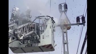 Hủy tổ ong vò vẽ tấn công người ở Quảng Ngãi