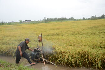 An Giang chủ động ứng phó lũ kết hợp triều cường