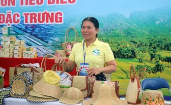 Tình quê trên cỏ bàng