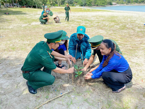 Trồng 150 cây bàng vuông trên xã đảo Tiên Hải