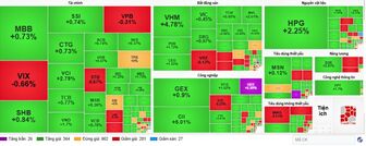 VN-Index vượt đỉnh 1.730 điểm, VHM và HPG dẫn dắt đà tăng