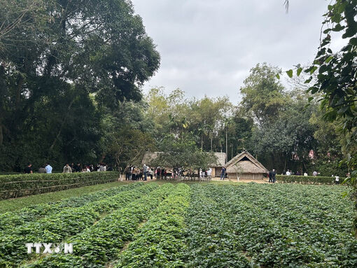 Tổng Bí thư Tô Lâm dâng hương tưởng nhớ Chủ tịch Hồ Chí Minh tại Nghệ An