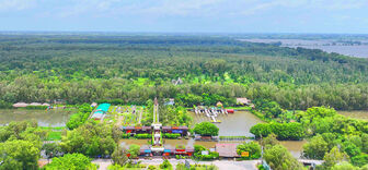 Nét đẹp hoang sơ của rừng tràm Trà Sư