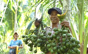 Trèo cau thu nhập cao