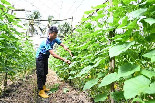 Hỗ trợ thanh niên dân tộc thiểu số phát triển kinh tế