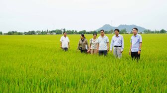 Xã Tân Hội thực hiện đạt và vượt 4 chỉ tiêu nghị quyết