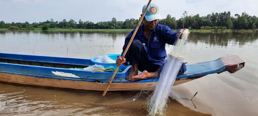 An Giang cảnh báo lũ trên sông Hậu và khu vực nội đồng Tứ giác Long Xuyên