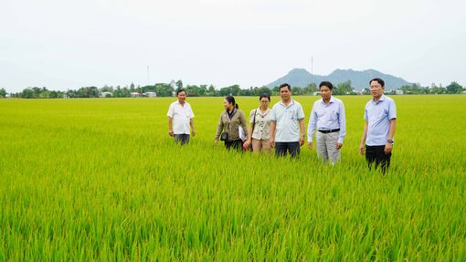 Xã Tân Hội thực hiện đạt và vượt 4 chỉ tiêu nghị quyết