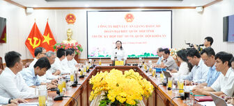 Đoàn Đại biểu Quốc hội tỉnh làm việc với Công ty Điện lực An Giang