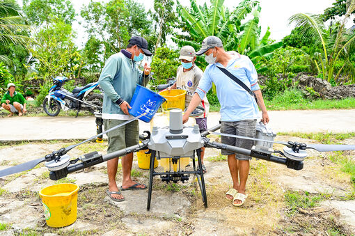 Ăn nên làm ra nhờ lúa cao sản