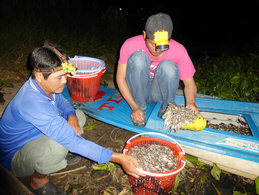 Rong ruổi trong tuyến kênh Tha La