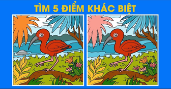 5 bộ câu đố vui giúp phát triển IQ của trẻ