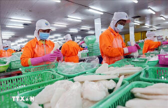 Đầu tư khoa học công nghệ để tăng năng suất, nâng chất cho thủy sản Việt