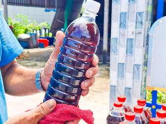Mặn mòi vị nước mắm đồng